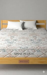 Dura Spine Plus