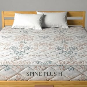Dura Spine Plus